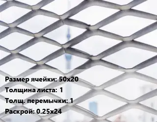 Сетка ЦПВС 50х20 s=1 1 Раскрой: 0.25х24